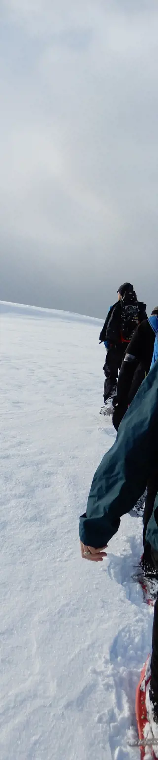 Wandere durch die schöne Winterlandschaft von Nord-Norwegen